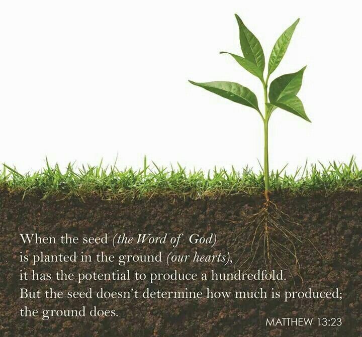The Word Must Produce | Matters of The Heart
